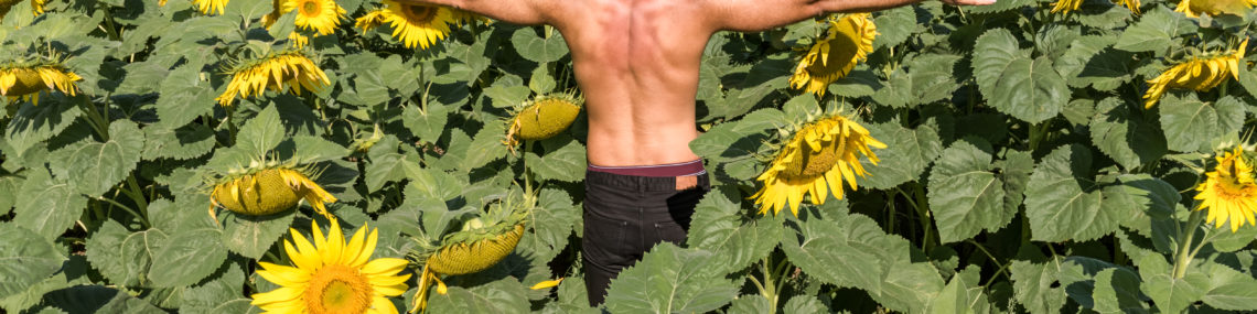 Shirtless man standing in a sunflower field with arms outstretched, viewed from behind.