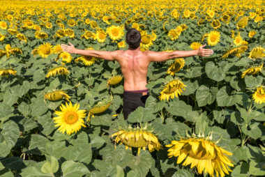 Shirtless man standing in a sunflower field with arms outstretched, viewed from behind.